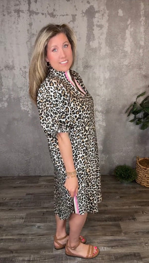 Leopard Midi Dress with Neapolitan Stripe (Curvy Only)