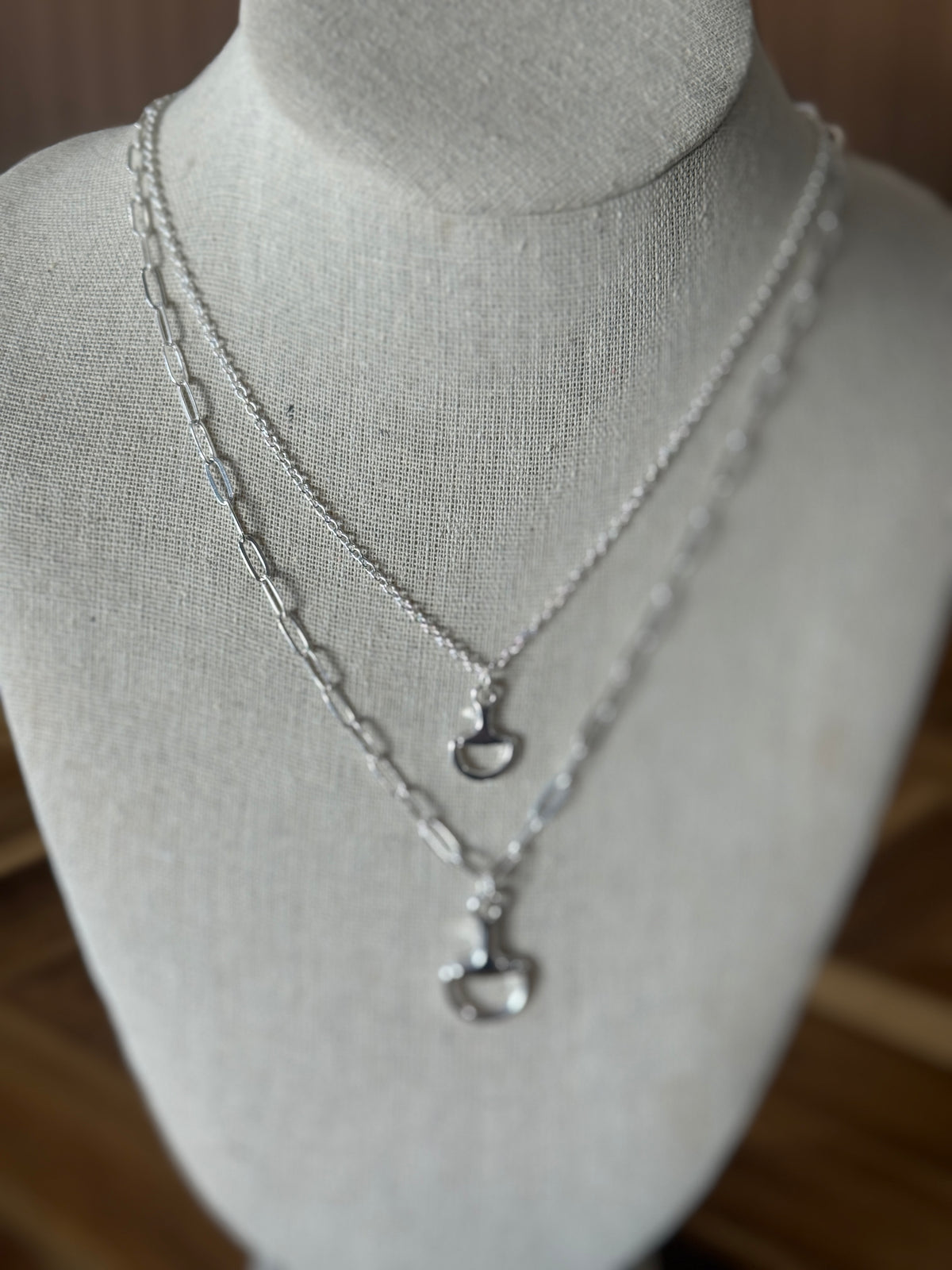 Silver Layered Bit Necklace