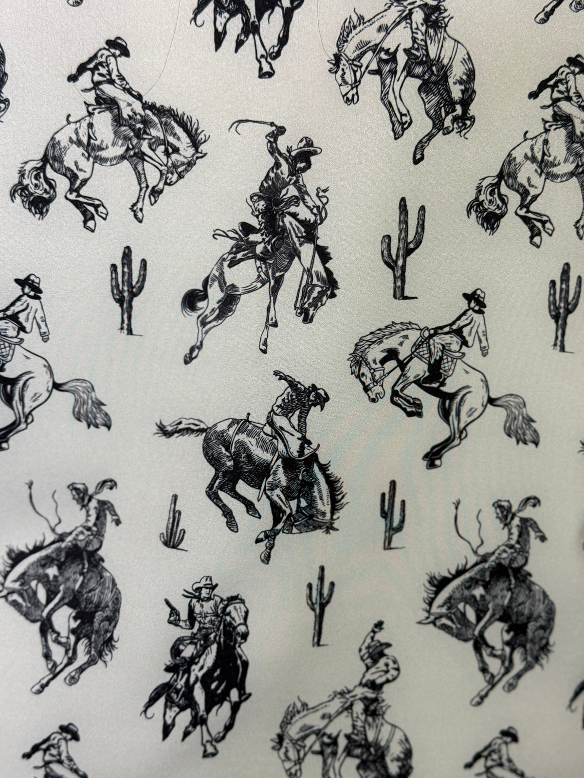 Western and Wild Blouse