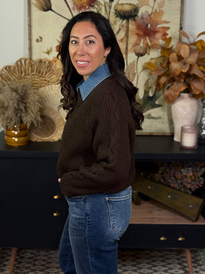Denim Collared Sweater - Brown (Small - 2X)