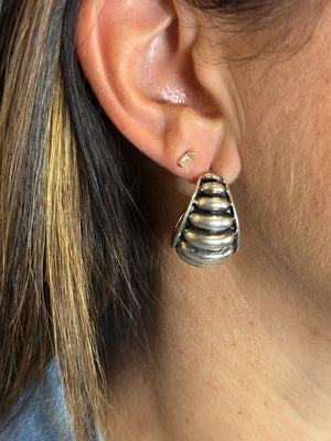 The Southwest Earring