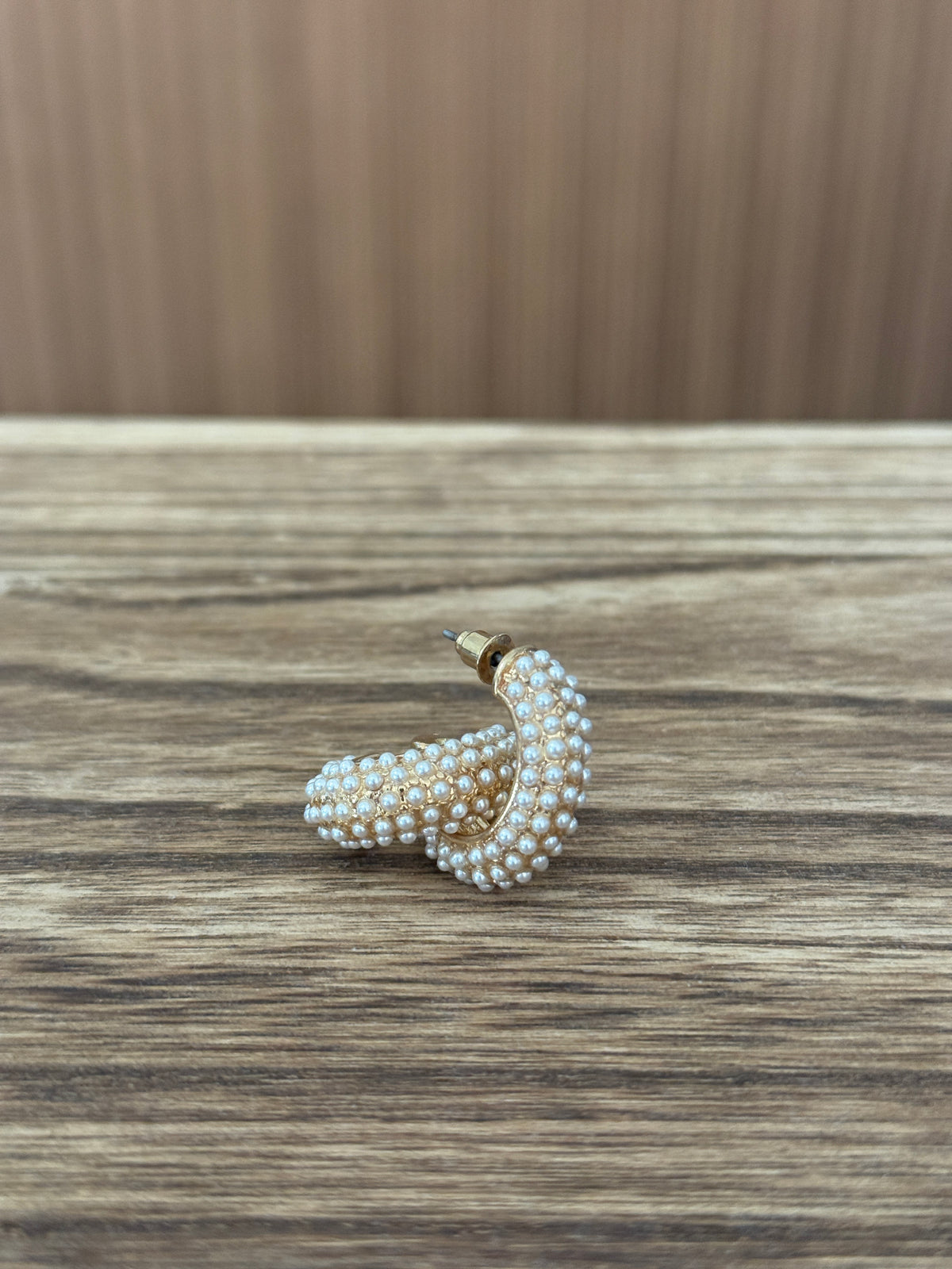 Pearl Studded Earring